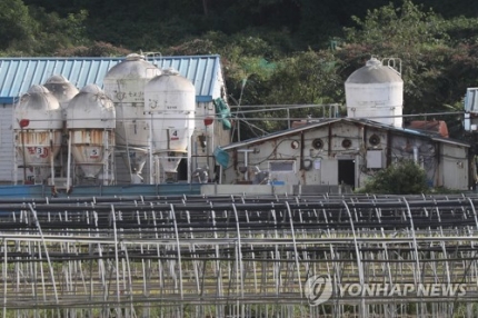돼지열병, 가축보험 적용 안 돼…"법정전염병은 보장 제외" 돼지열병, 가축보험 적용 안 돼…"법정전염병은 보장 제외"