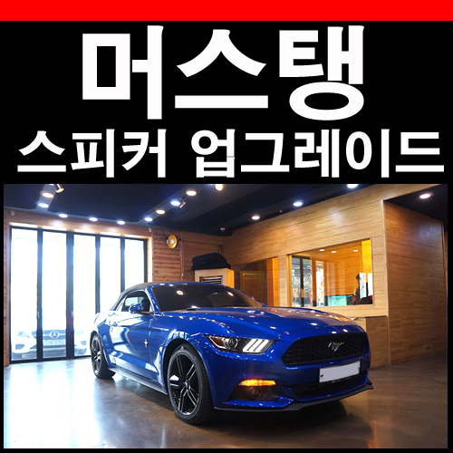  머스탱 스피커 포칼유토피아 165W-RC 오디오 개선가능