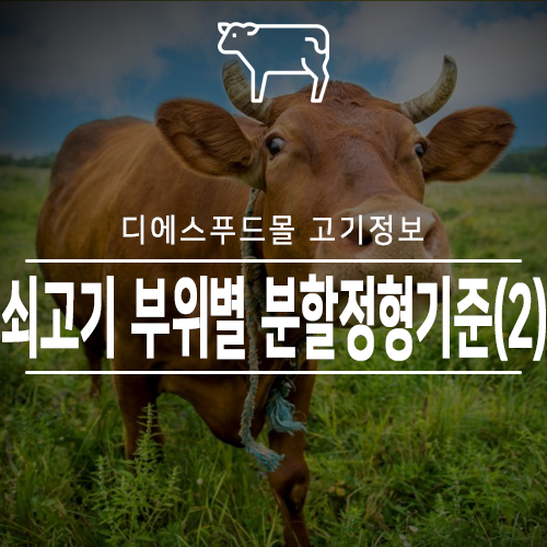 [디에스푸드몰 고기정보]쇠고기 부위별 분할정형기준(2)