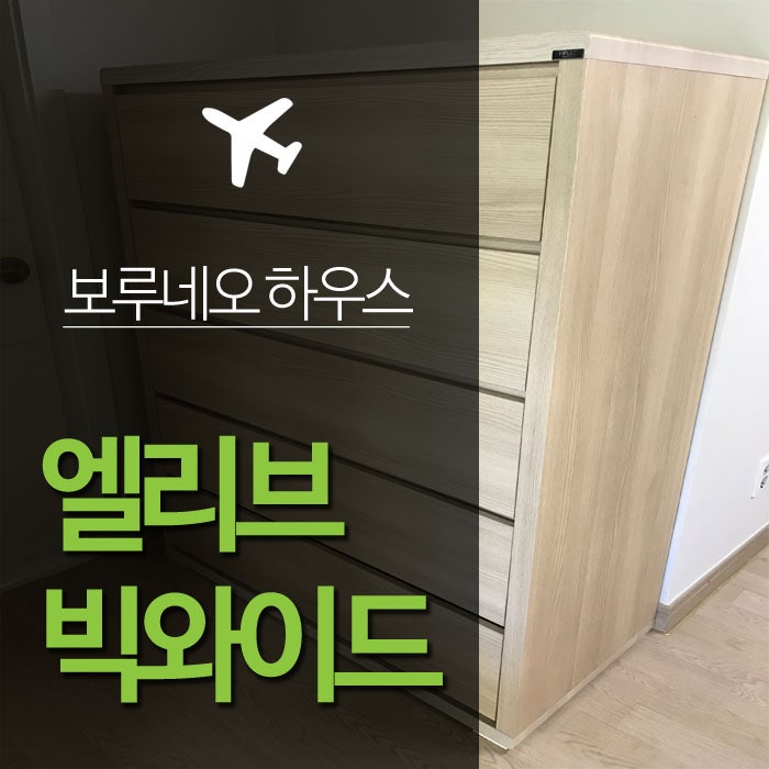 보루네오 5단 서랍장 추천 엘리브 빅와이드 1000 사이즈 후기