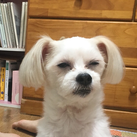  대충 쓰는 개강 전 일상 1