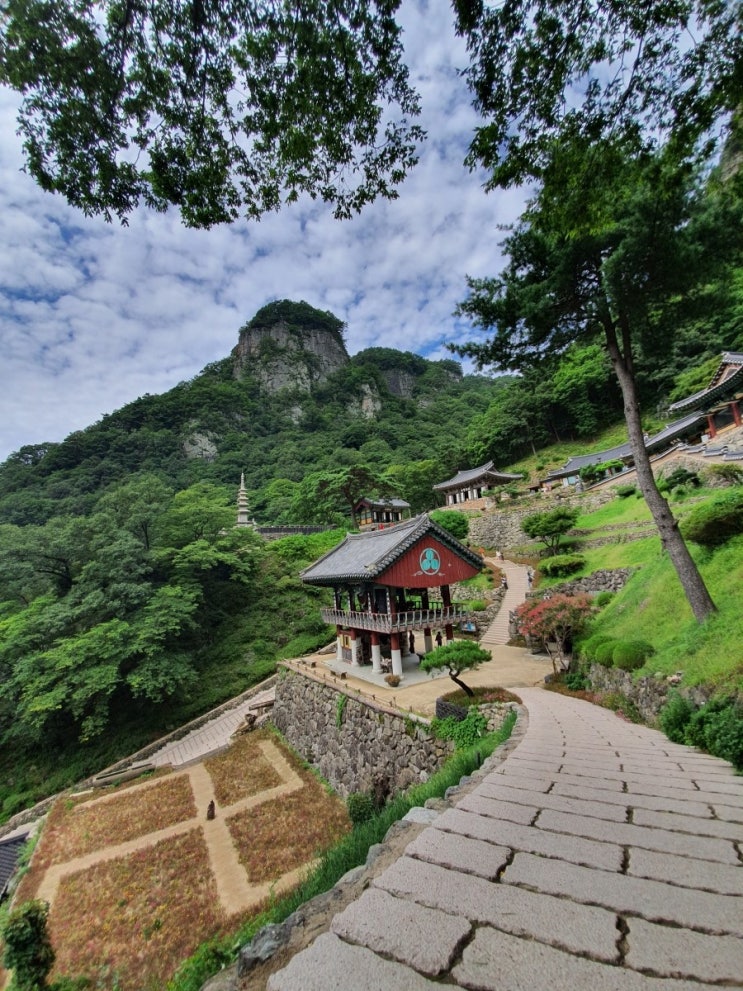  19-청량사가 화룡점정인 청량산 2019년 9월 8일