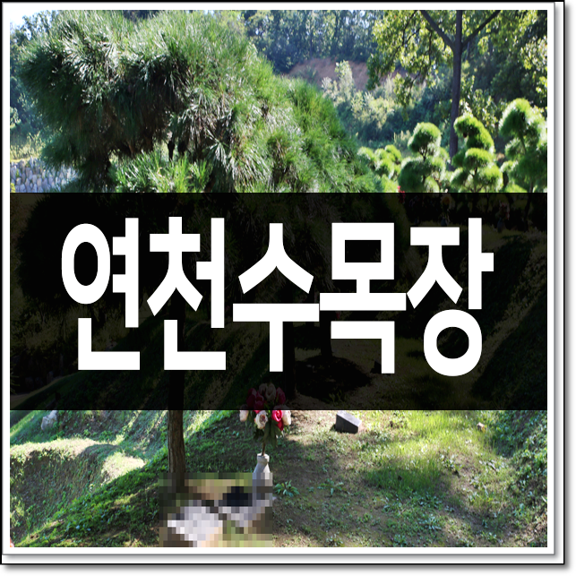  연천수목장 완만한 언덕에 조성된 시설