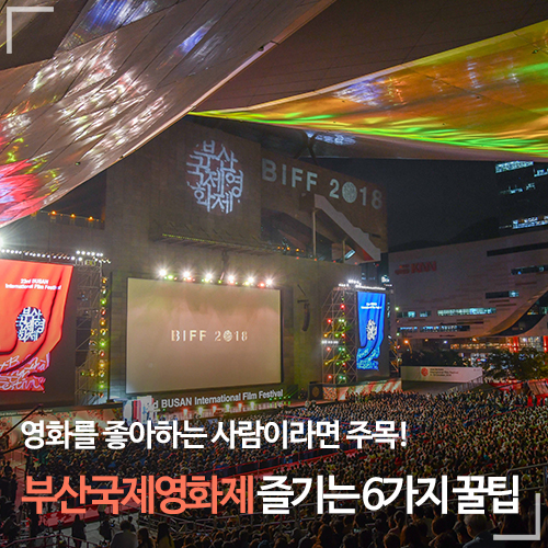  영화를 좋아하는 사람이라면 놓치면 안 될 축제｜부산국제영화제 즐기는 6가지 꿀팁!