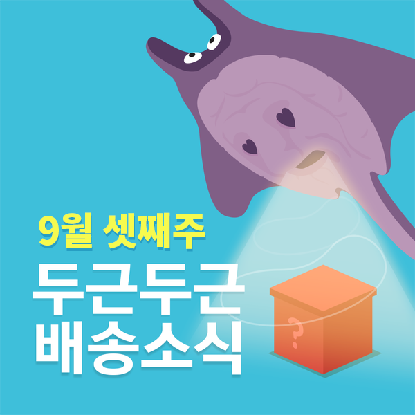  [랜덤투유] 배송소식! 9월 3주차 랜덤박스 배송소식 리스트 공개!