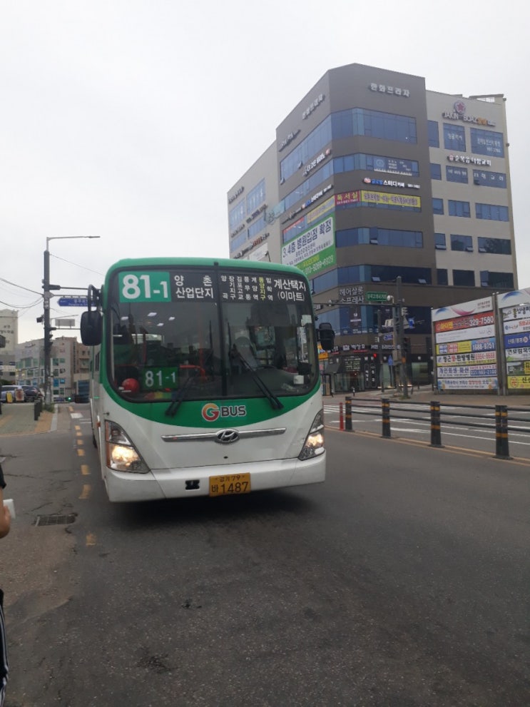  (탑승)선진버스 81-1번 1487호