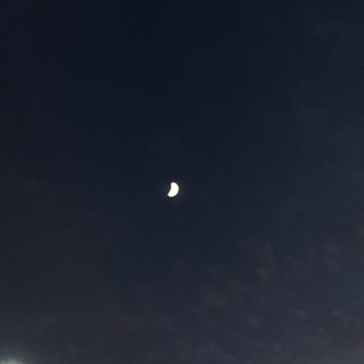  아니 ㅈㄴ 먹네 ?