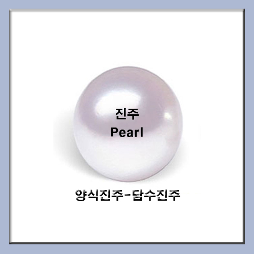  진주(Pearl) - 양식진주-담수진주