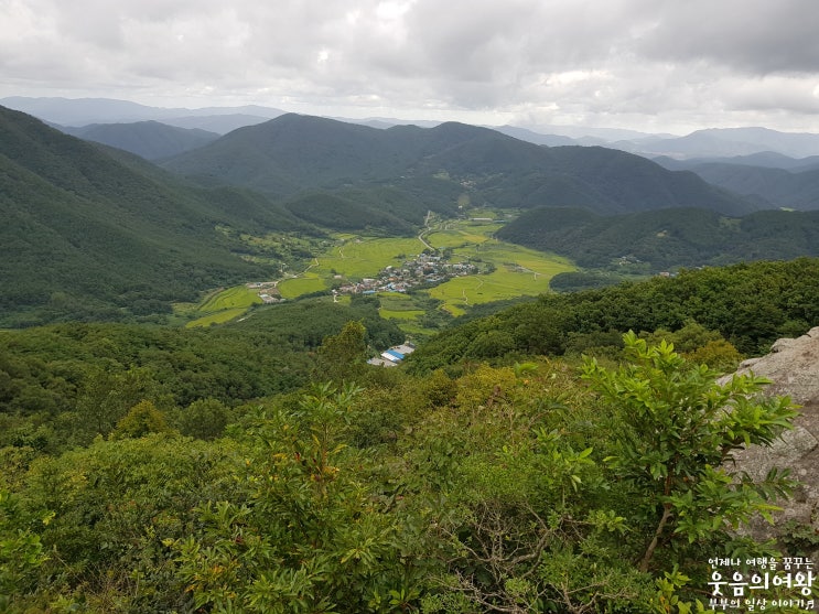  경주 화랑의언덕 캠핑클럽 촬영지 OK그린오토캠핑장