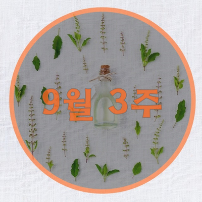  [9월2-3주]식품업계 주간 이슈