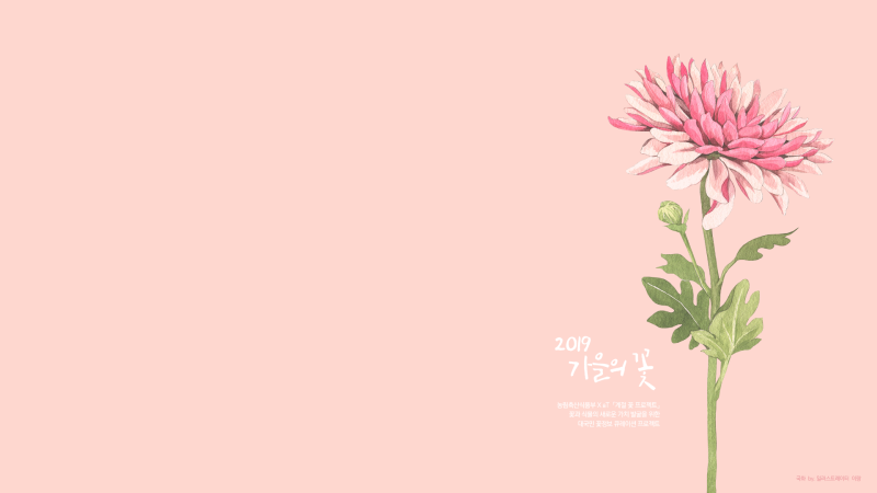 계절 꽃 프로젝트> Plant Talk / 그림으로 만나는 꽃, 일러스트레이터 김이랑 작가와의 콜라보레이션(Feat.가을 꽃 배경화면  배포) : 네이버 블로그