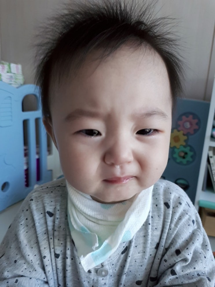  하랑이 11개월의 시작 돌전아기