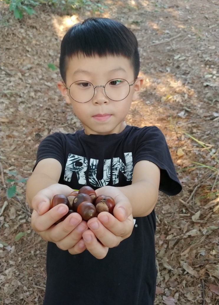  수확의 계절 가을, 뒷산에서 도토리 줍고, 다람쥐도 보고