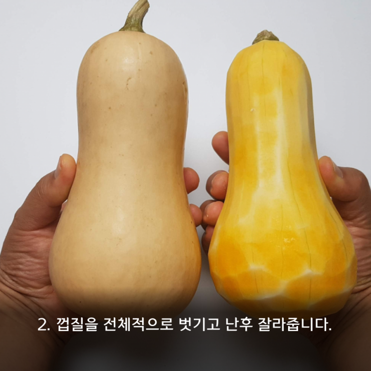  땅콩호박수확시기 및 땅콩호박판매가격