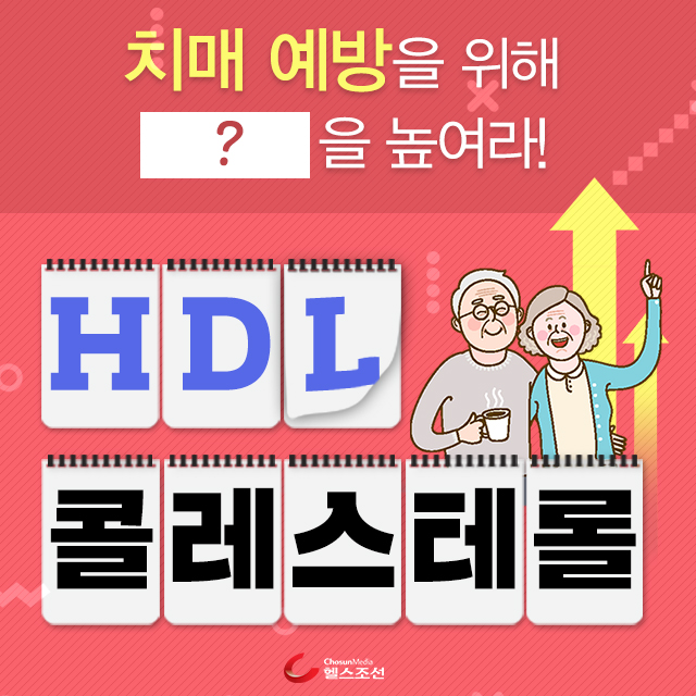  치매 예방을 위해 HDL 콜레스테롤을 높여라!