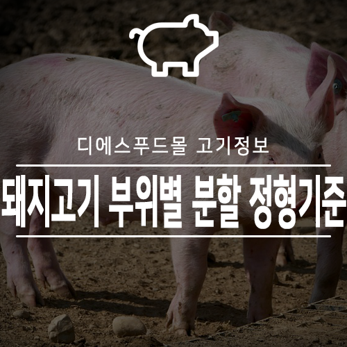 [디에스푸드몰 고기정보]돼지고기 부위별 분할 정형기준