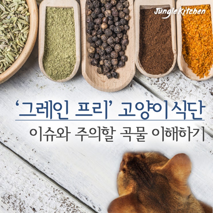 '그레인 프리' 고양이 사료 - 리콜 이슈와 주의할 곡물