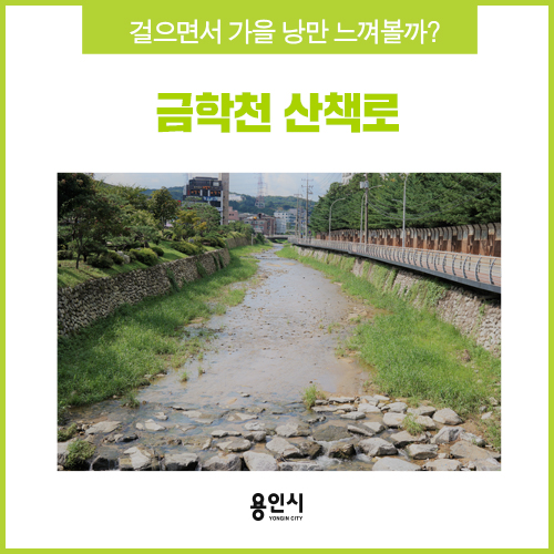  [용인 공원] 걷기 좋은 계절, 금학천 산책로 따라 가을로 가요!