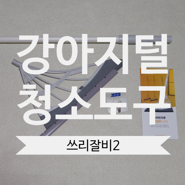  큐어라이프 쓰리잘비2 강아지털제거에 유용해요