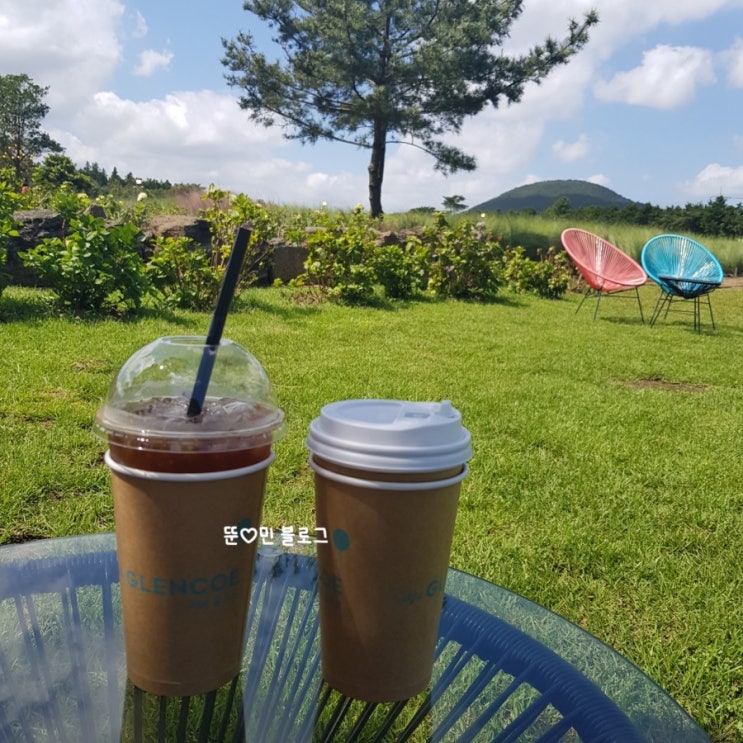  [카페] 제주 서귀포 잊지 못할 카페 글렌코