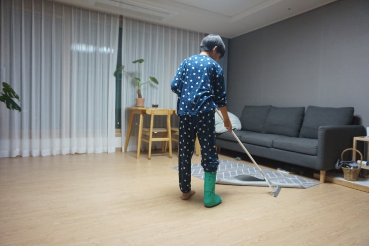  고양이털제거 / 강아지털제거 ] 큐어라이프 쓰리잘비