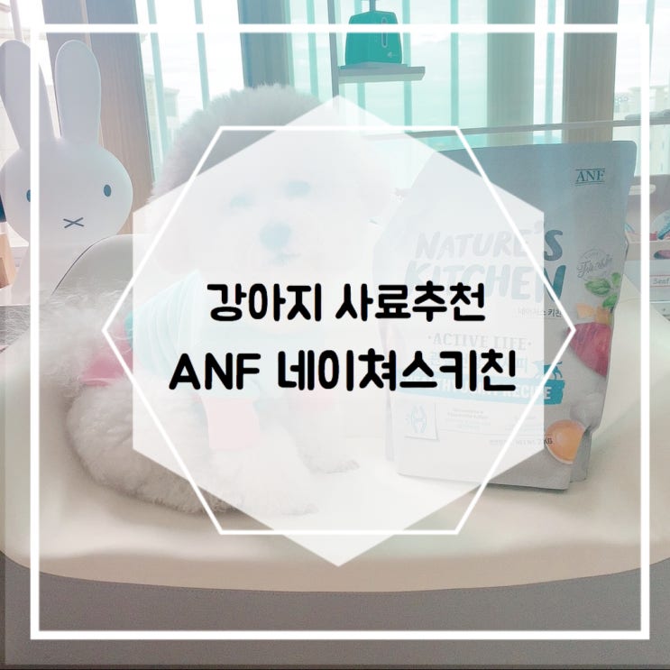  강아지 사료추천 ANF 네이처스키친 기능성 사료