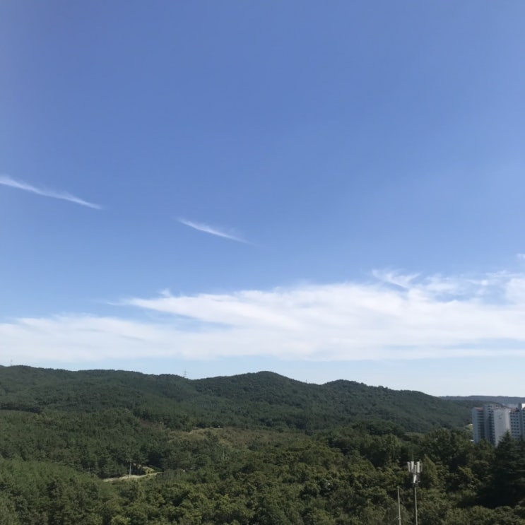  삼좌 하기싫어서 안하고 그래서 또 하기싫은 뫼비우스 띠같은 일상