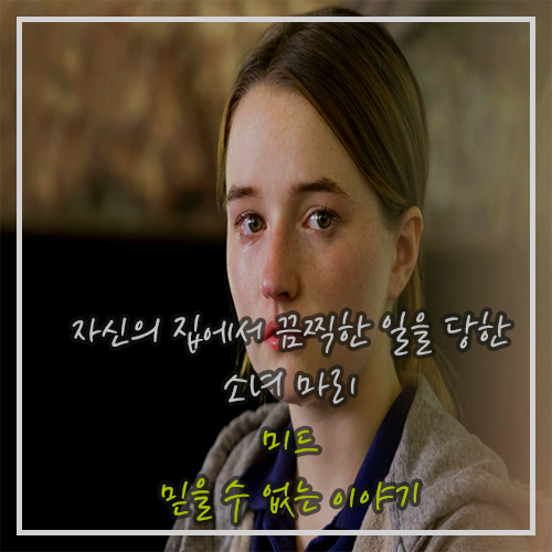  넷플릭스 미드 추천 믿을 수 없는 이야기 자신의 집에서 끔찍한 일을 당한 소녀 마리