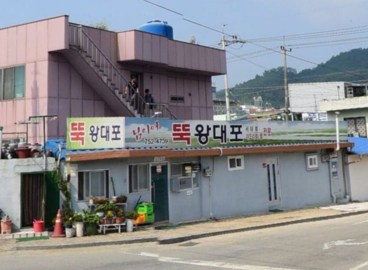  순천 뚝왕대포 허영만의 백반기행 전어회무침