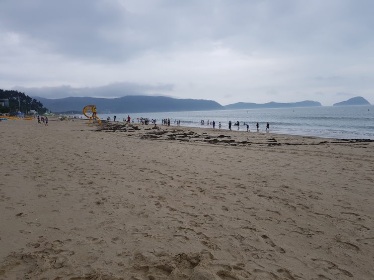  태풍과 함께한 명사십리 해수욕장, YOLO펜션