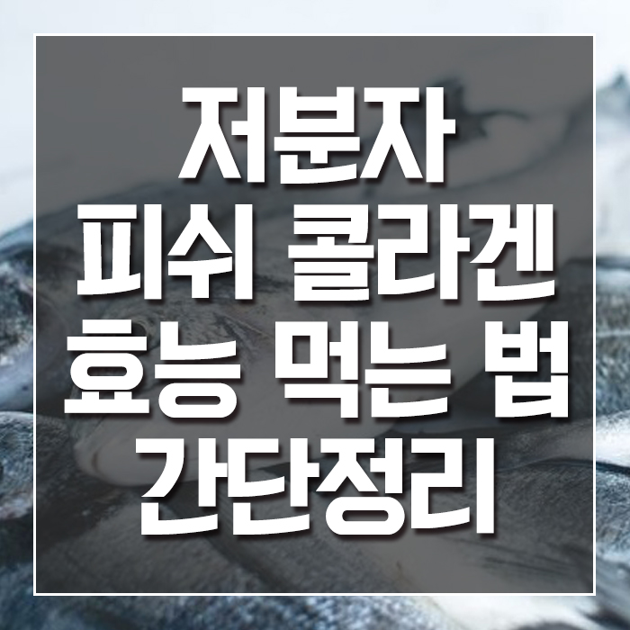  저분자 피쉬 콜라겐 효능 먹는 법 간단정리
