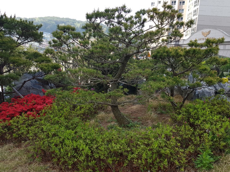  행복한 어부