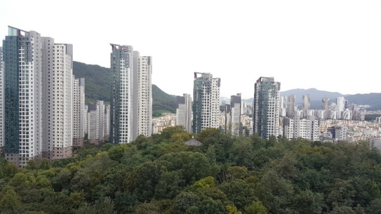  주말 일상