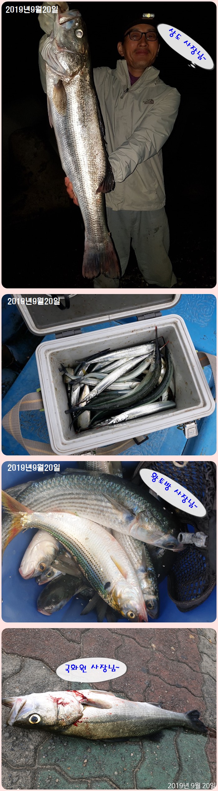  포항 영일 신항만 쥐치,학꽁치,농어,등등~~ 