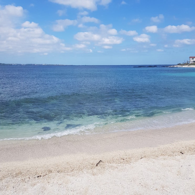  [제주] 제주동부여행: 우도당일치기, 나홀로여행