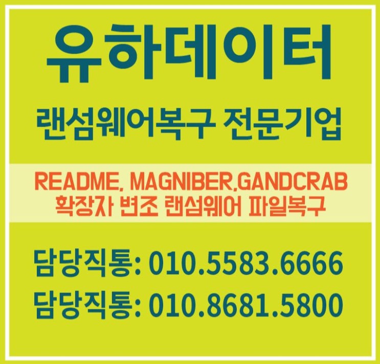  domn 파일 확장자 신종 랜섬웨어 감염 사례
