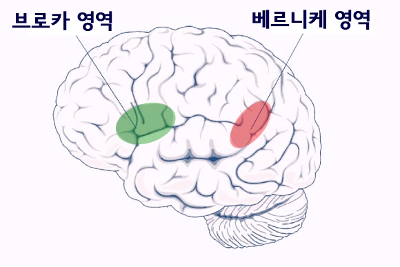 2141  데카르트의 오류 - 안토니오 다마지오