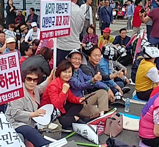  광화문 : 조국 탄핵 집회