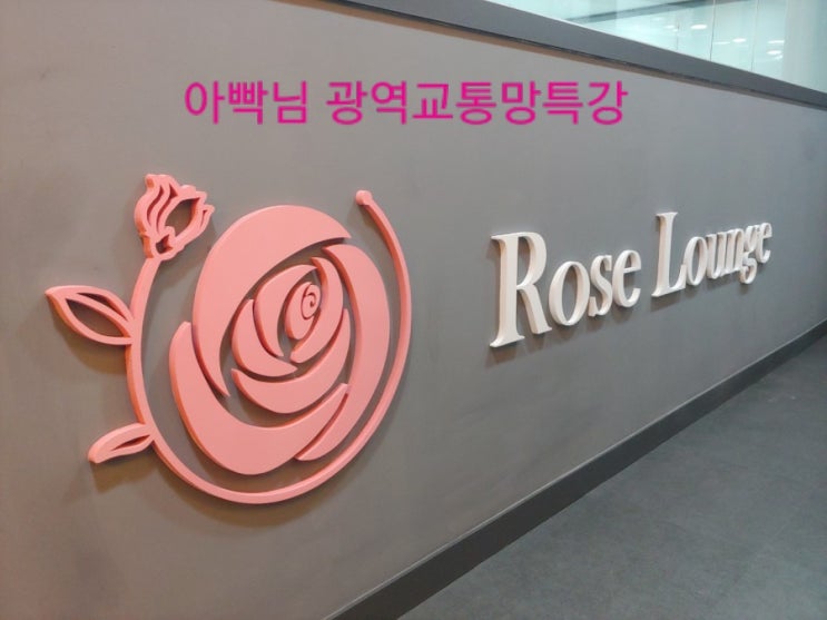  아이고빡시다님 광역교통망 특강 /내꿈사 로즈라운지 첫방문!!