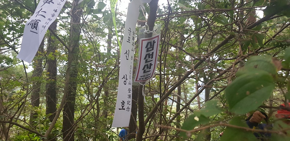 세렁골산 사진 6