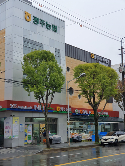 [광주마트]광주농협로컬푸드직매장 문화점 간단 방문기 (가격 혜자, 위치, 영업시간)