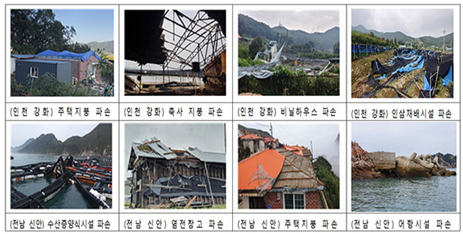 태풍 ‘링링’ 피해 강화군·신안군 흑산면 특별재난지역 선포