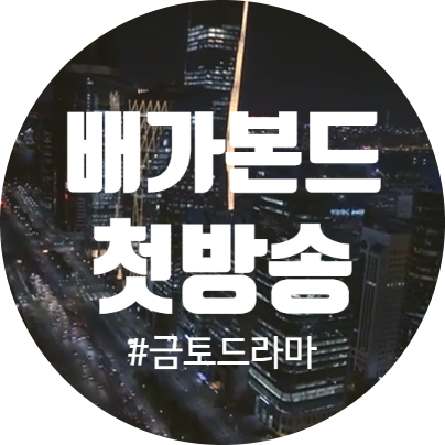 [드라마리뷰] 금토드라마 배가본드첫방송 알아가는 이야기