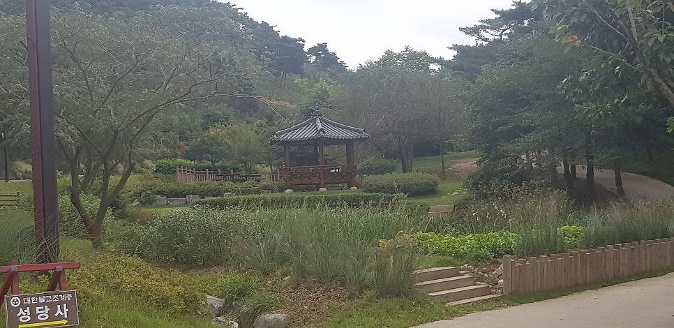 세렁골산 사진 5