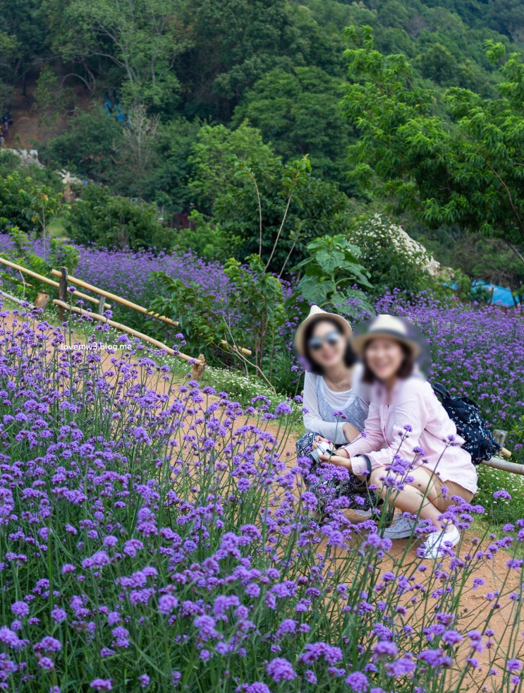  태국 치앙마이 여행 가볼만한곳 총정리  여긴 꼭 가보기