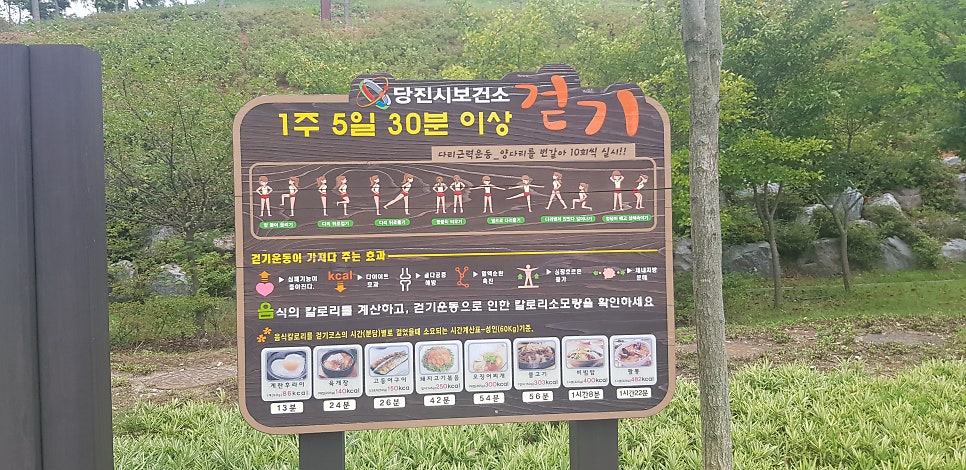 세렁골산 사진 3