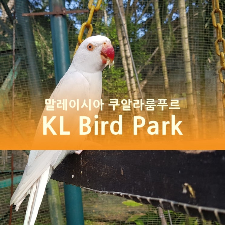  말레이시아 쿠알라룸푸르 자유여행, 새공원/버드파크(KL Bird Park)