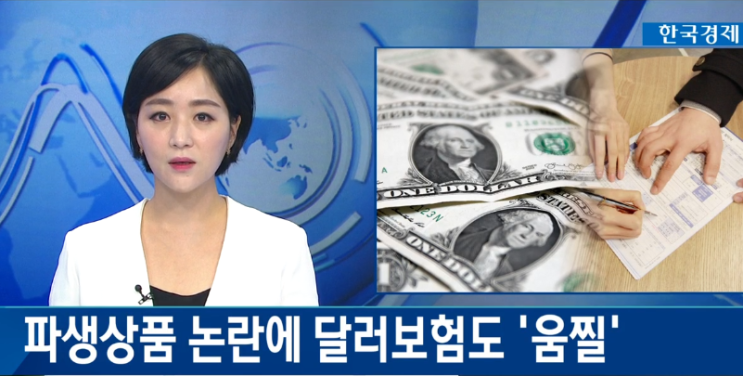 파생상품 논란에 달러보험도 '움찔' 파생상품 논란에 달러보험도 '움찔'