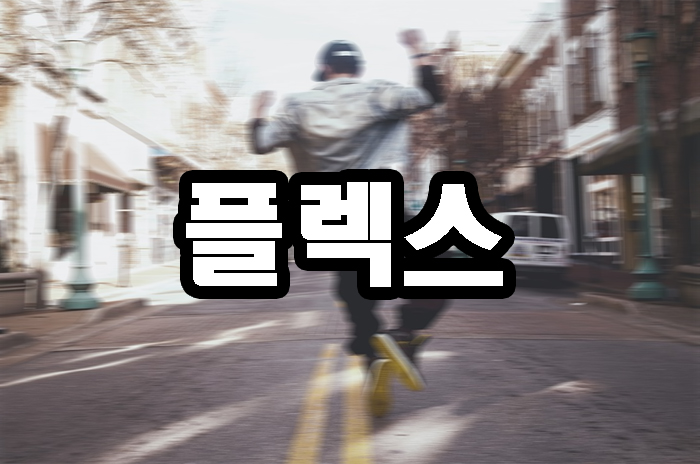  플렉스 뜻 flex 플렉스 해버렸지 뭐야 뜻 알아봐요.