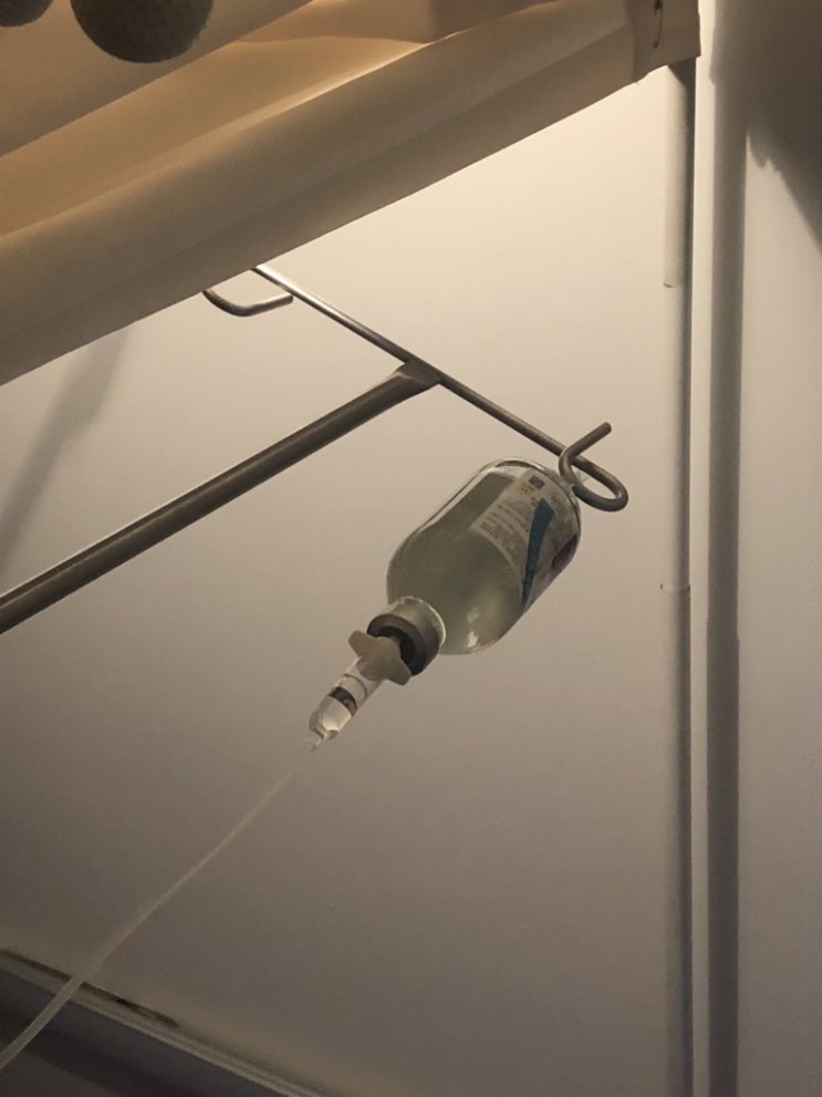  [휴학12일차] 2019년 9월 21일 토요일 : 집콕 링거 영양제 무한도전 유미의세포들